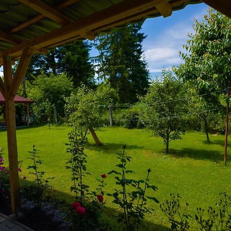 Pension Verona Centru Κλουζ-Ναπόκα Εξωτερικό φωτογραφία